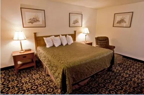Standard-huone King-vuode, Americas Best Value Inn Roosevelt/ballard
