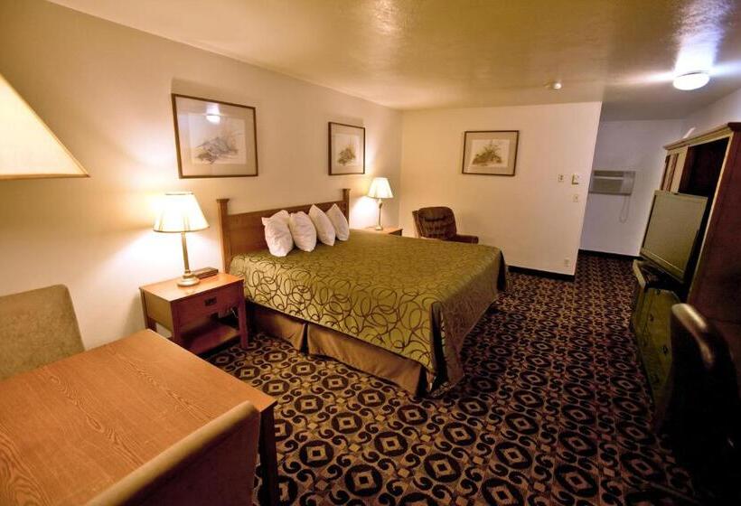 Стандартный Номер Кровать Кинг, Americas Best Value Inn Roosevelt/ballard