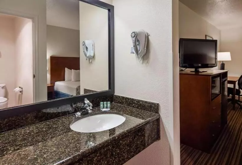 اتاق استاندارد با تخت بزرگ, Best Western Capital City Inn
