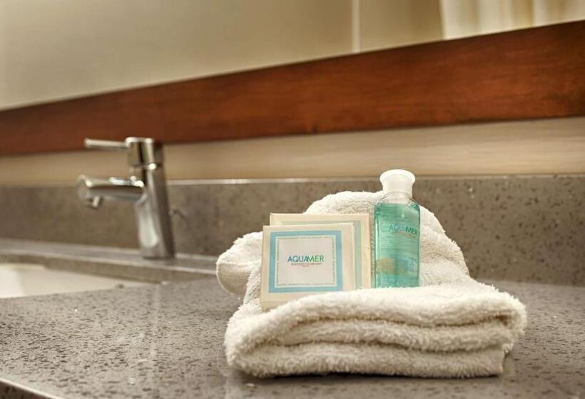 Standart Oda, Best Western Elkhart Inn & Suites