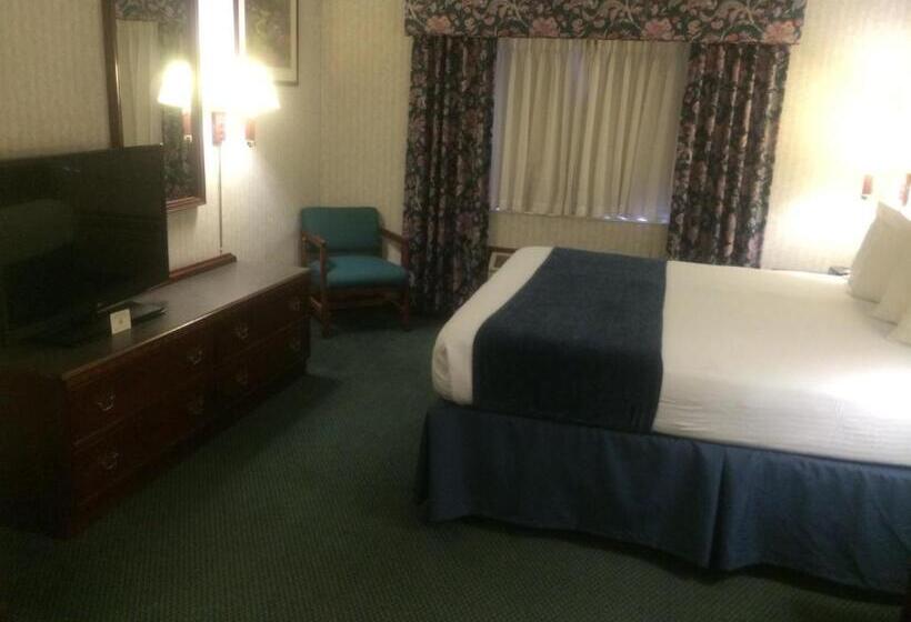 キングサイズベッドのスイートルーム, Best Western Elkhart Inn & Suites