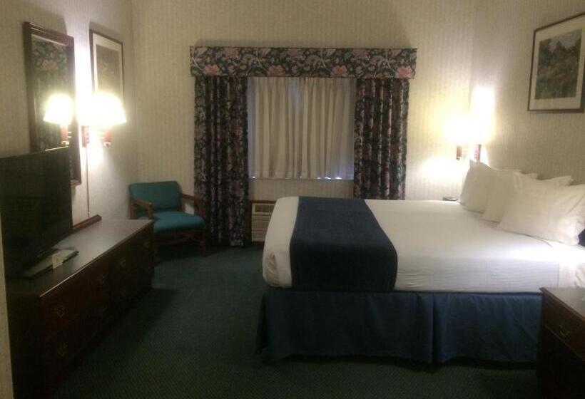 キングサイズベッドのスイートルーム, Best Western Elkhart Inn & Suites
