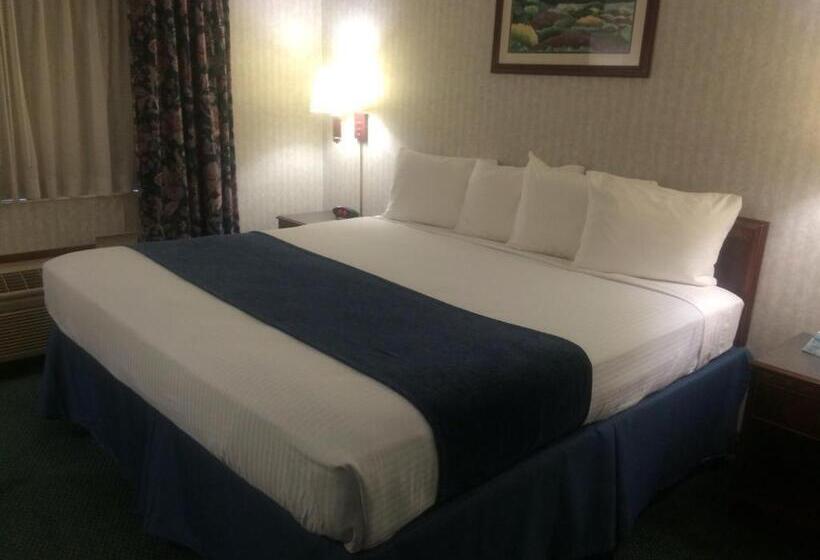 キングサイズベッドのスイートルーム, Best Western Elkhart Inn & Suites
