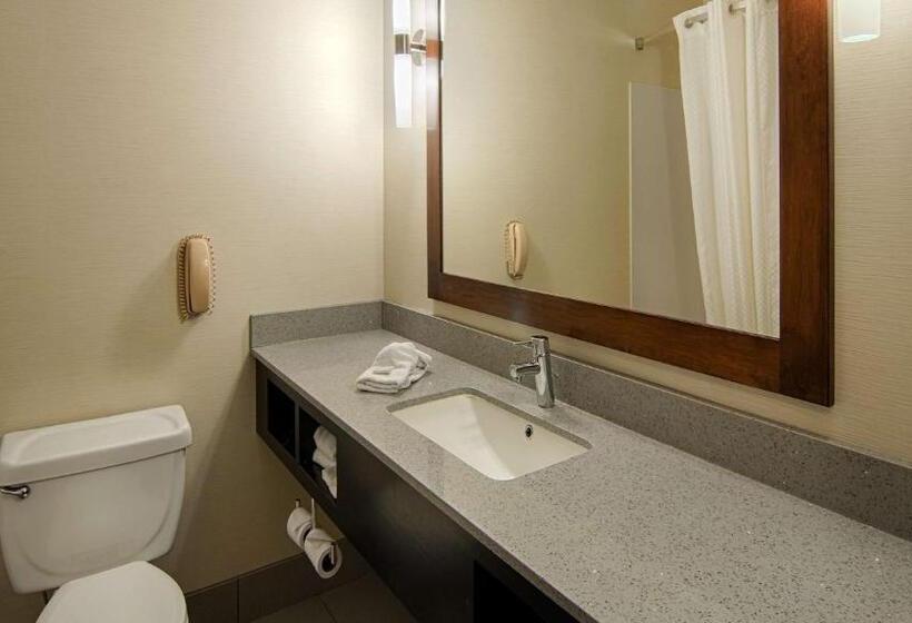 身障者適用スタンダードルーム, Best Western Elkhart Inn & Suites