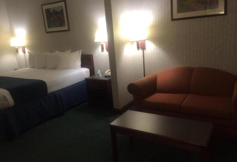 Büyük Çift Kişilik Yataklı Standart Oda, Best Western Elkhart Inn & Suites