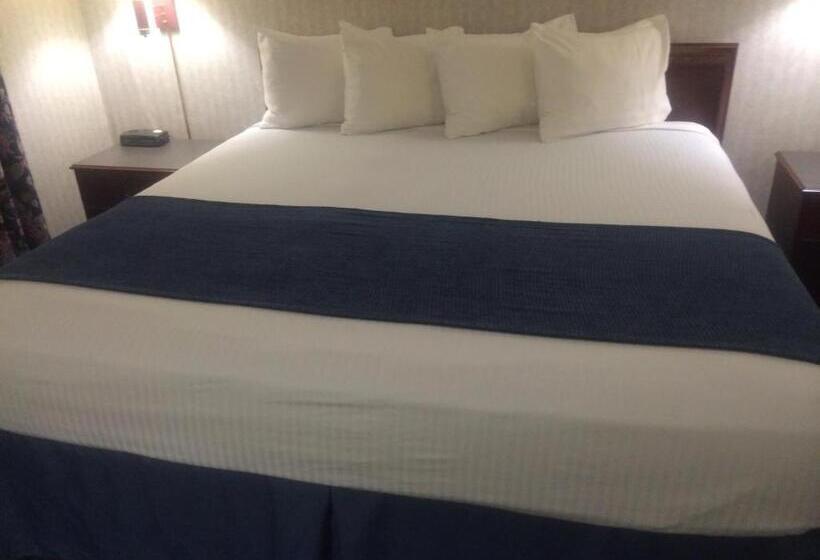 キングサイズベッドのスタンダードルーム, Best Western Elkhart Inn & Suites