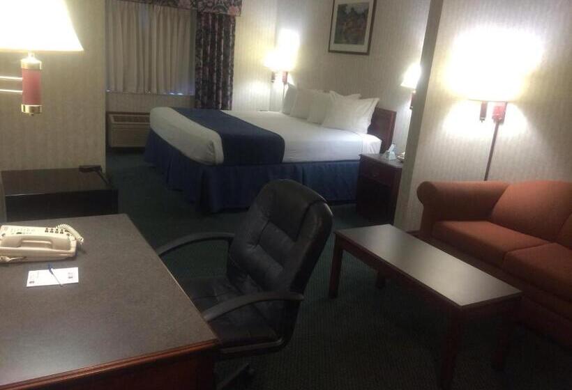 Büyük Çift Kişilik Yataklı Standart Oda, Best Western Elkhart Inn & Suites