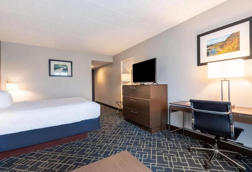 غرفة قياسية سرير كينج, Best Western Hunt S Landing Hotel Matamoras Milford