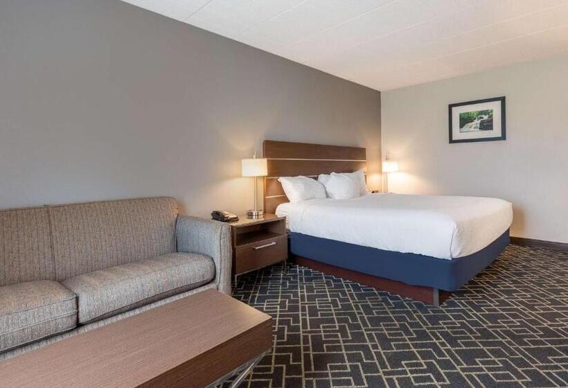 غرفة قياسية سرير كينج لذوى الإحتياجات الخاصة, Best Western Hunt S Landing Hotel Matamoras Milford