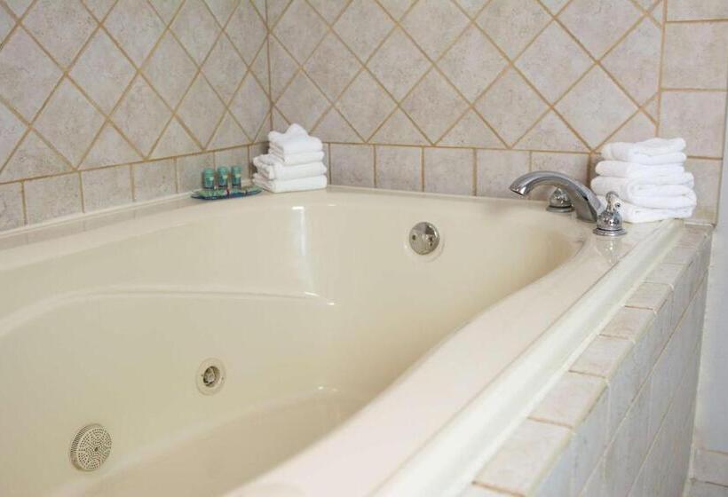 غرفة قياسية سرير كينج, Best Western Hunt S Landing Hotel Matamoras Milford