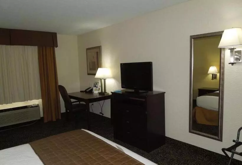 キングサイズベッドのスタンダードルーム, Best Western Inn