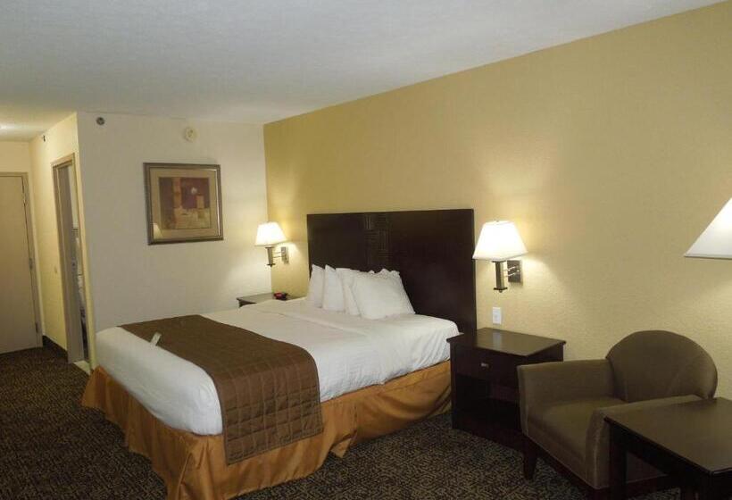 غرفة قياسية سرير كينج, Best Western Inn