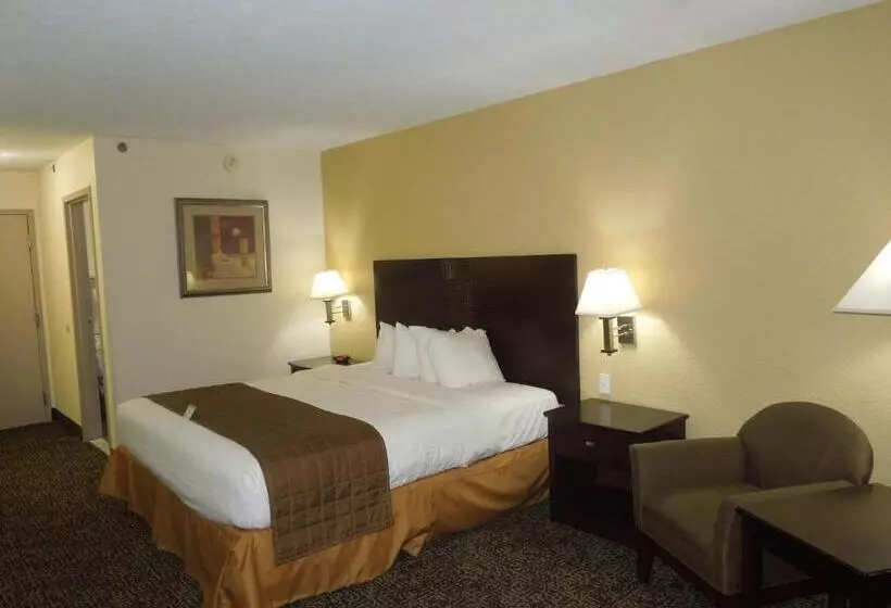 キングサイズベッドのスタンダードルーム, Best Western Inn