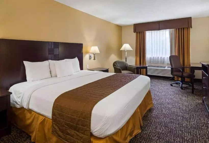 キングサイズベッドのスタンダードルーム, Best Western Inn