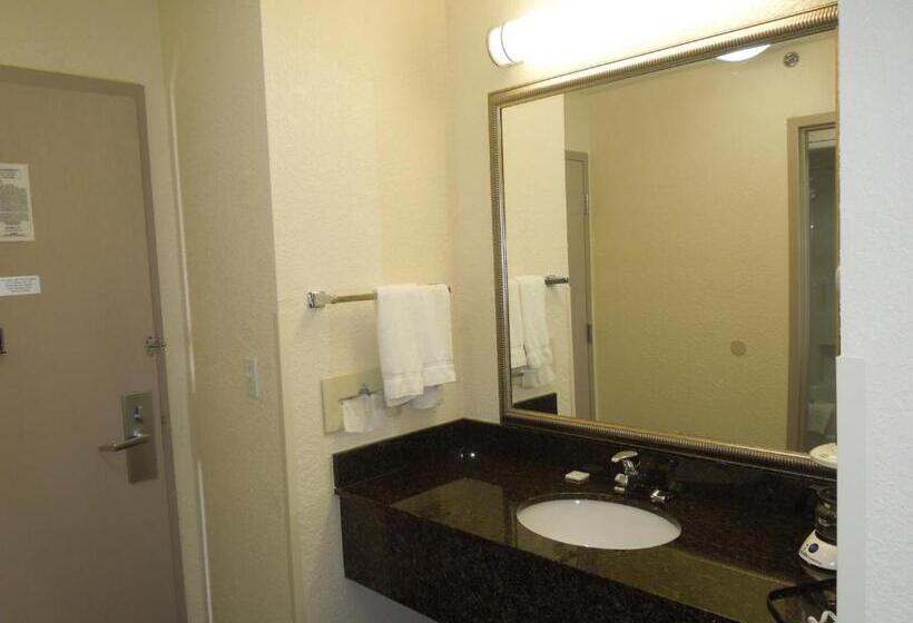 غرفة قياسية سرير كينج لذوى الإحتياجات الخاصة, Best Western Inn