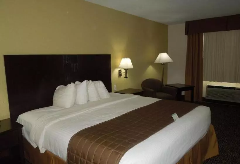 身障者適用キングサイズベッドルーム, Best Western Inn