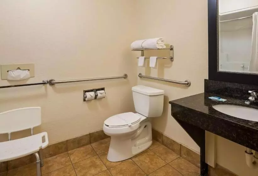 身障者適用キングサイズベッドルーム, Best Western Inn