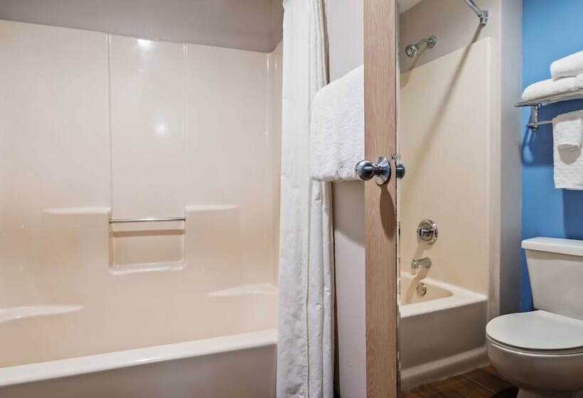 غرفه قياسيه سريرين مزدوجين, Best Western Ocala Park Centre