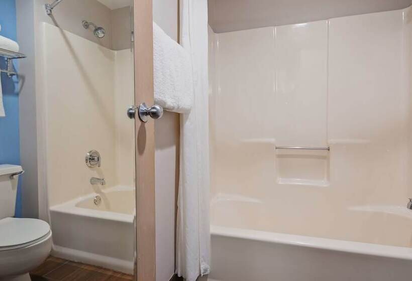 غرفه قياسيه سريرين مزدوجين, Best Western Ocala Park Centre