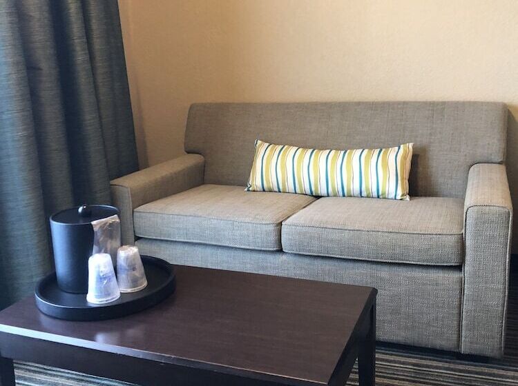 חדר סטודיו סטנדרד, Palm Tree Club Miami