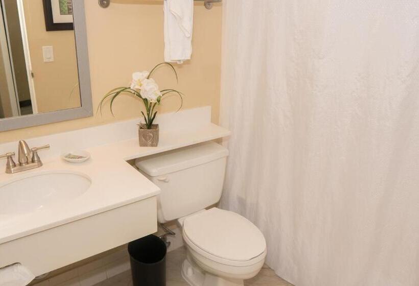 חדר סטנדרט עם מיטת קינג, Palm Tree Club Miami