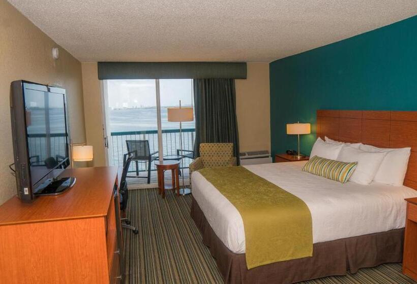 חדר סטנדרט עם מיטת קינג, Palm Tree Club Miami