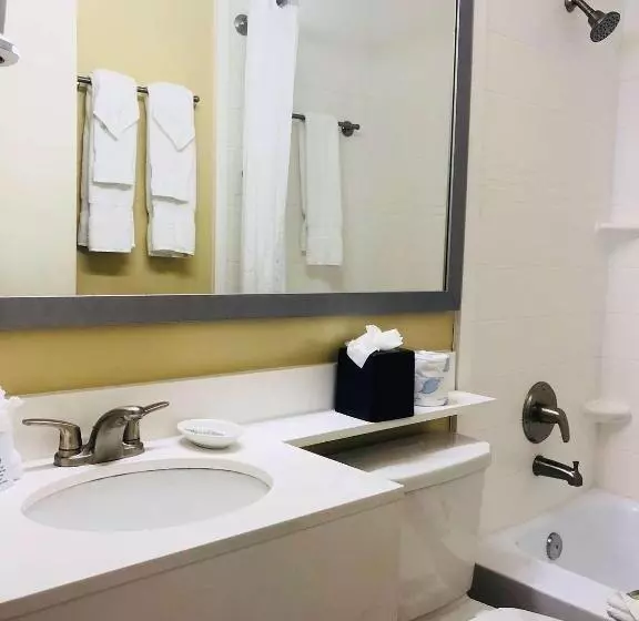 اتاق استاندارد چهارنفره با بالکن, Palm Tree Club Miami