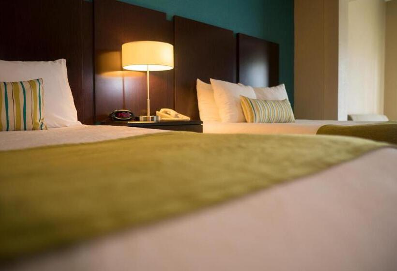 إستوديو قياسى, Palm Tree Club Miami