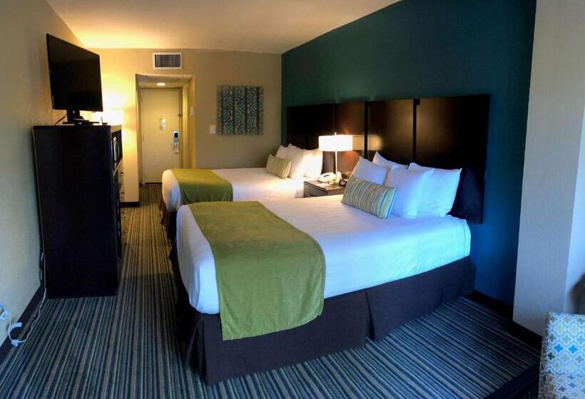 חדר סטודיו סטנדרד, Palm Tree Club Miami