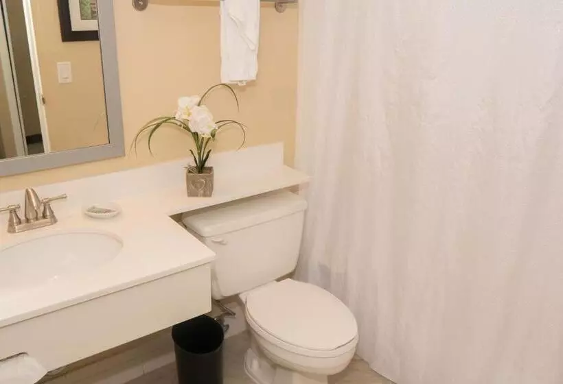 سوئیت با وان آب گرم, Palm Tree Club Miami