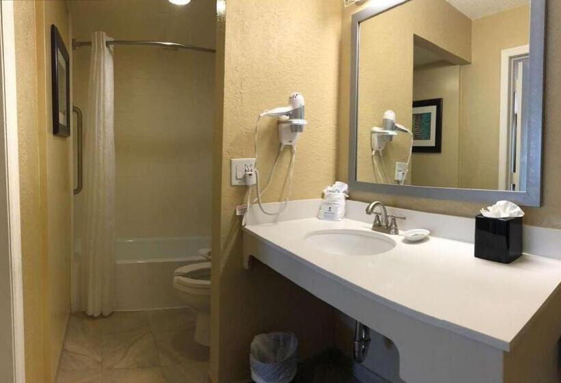 חדר סטנדרט, מיטת קינג, מותאם לאדם עם מוגבלויות, Palm Tree Club Miami