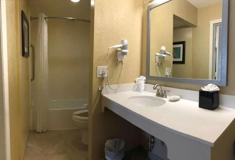 اتاق استاندارد با تخت بزرگ برای معلولان, Palm Tree Club Miami