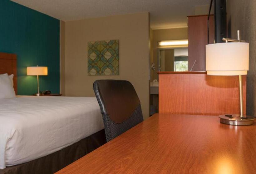 חדר סטנדרט, מיטת קינג, מותאם לאדם עם מוגבלויות, Palm Tree Club Miami