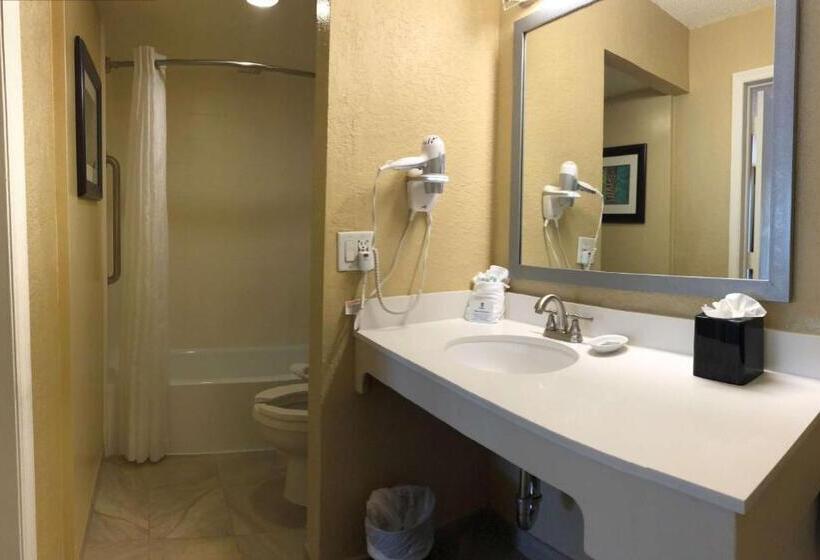 חדר סטנדרט, מיטת קינג, מותאם לאדם עם מוגבלויות, Palm Tree Club Miami