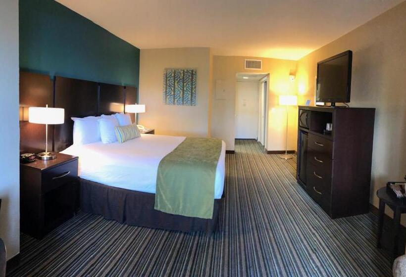 סוויטת ג'וניור, Palm Tree Club Miami