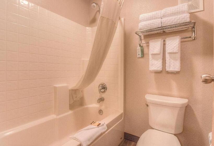 Номер Стандарт, Best Western Plus Yakima