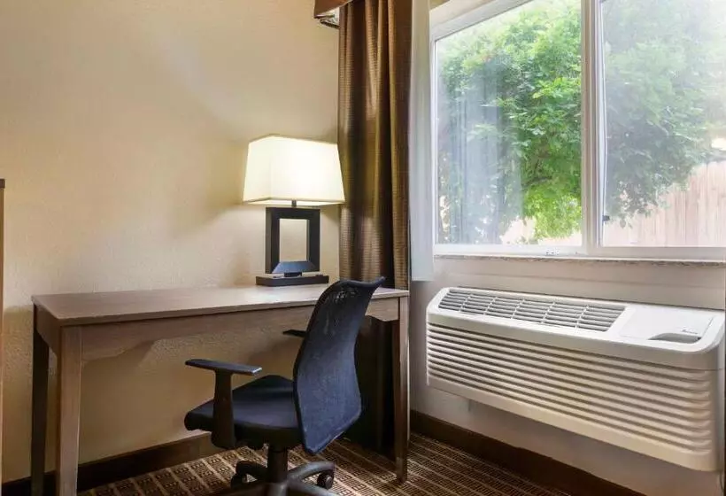 身障者適用キングサイズベッドルーム, Best Western Plus Yakima
