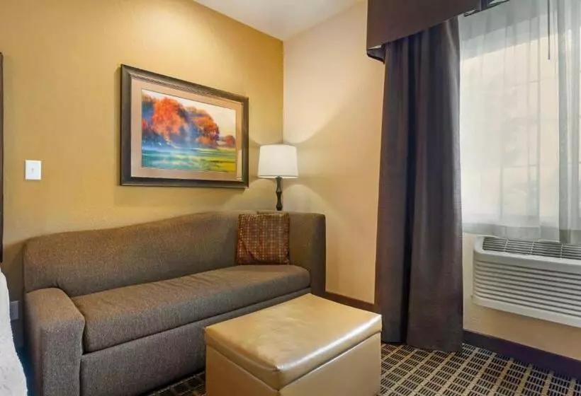 身障者適用キングサイズベッドルーム, Best Western Plus Yakima