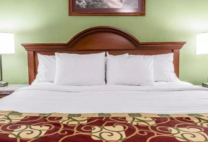 اتاق استاندارد با تخت بزرگ برای معلولان, Clarion Inn I94 Near Expo Center