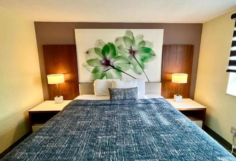 اتاق استاندارد با تخت بزرگ, Lakeside Inn