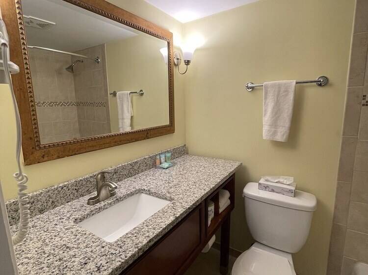 レイクビュースタンダードルーム, Lakeside Inn