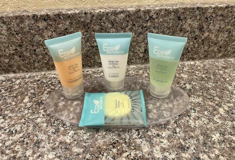 レイクビュースタンダードルーム, Lakeside Inn