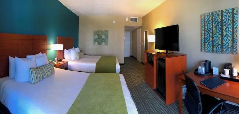 استودیوی استاندارد, Palm Tree Club Miami