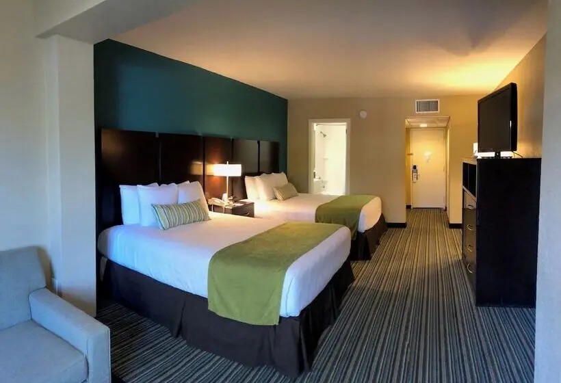 استودیوی استاندارد, Palm Tree Club Miami