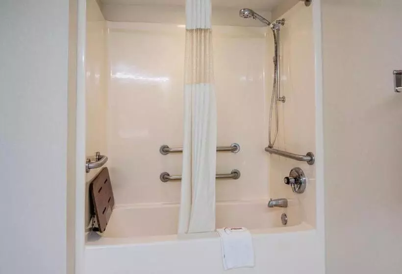 デラックスルーム, Red Roof Inn Fayetteville I95