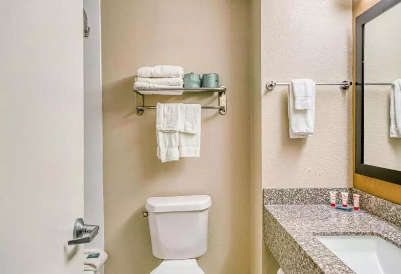 اتاق استاندارد با تخت بزرگ, Trident Inn & Suites New Orleans