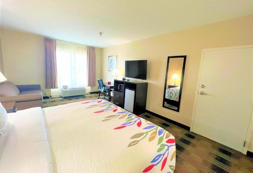 带大床的标准间, Trident Inn & Suites New Orleans