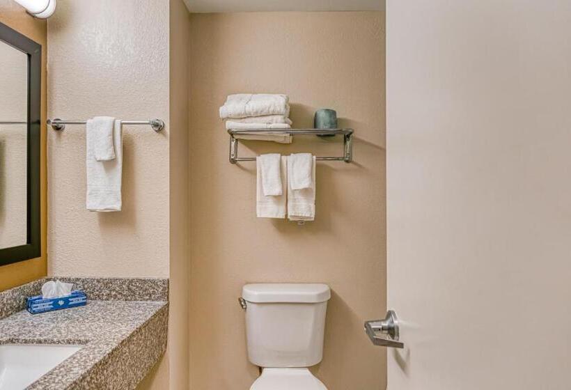 标准间, Trident Inn & Suites New Orleans