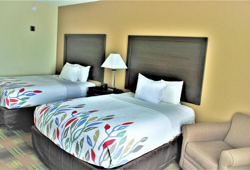 Номер Стандарт, Trident Inn & Suites New Orleans
