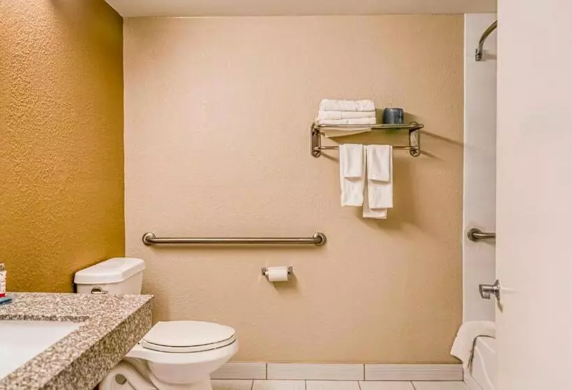 اتاق استاندارد با تخت بزرگ برای معلولان, Trident Inn & Suites New Orleans